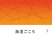 愛知の贈答海老煎餅